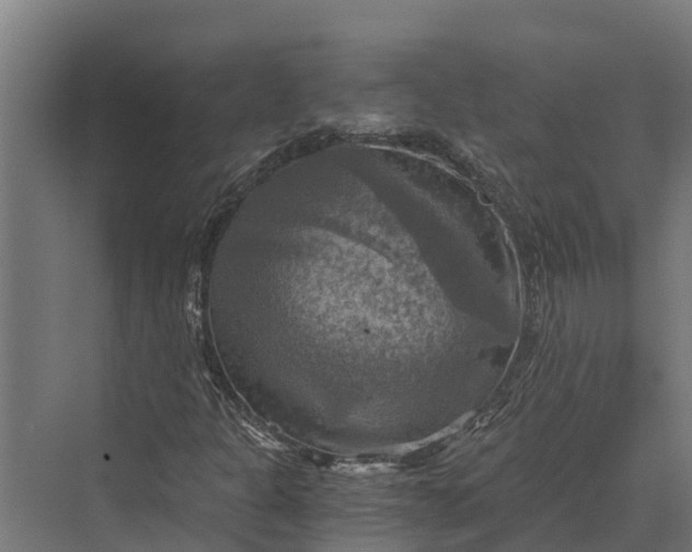 X0000069811301200606021455