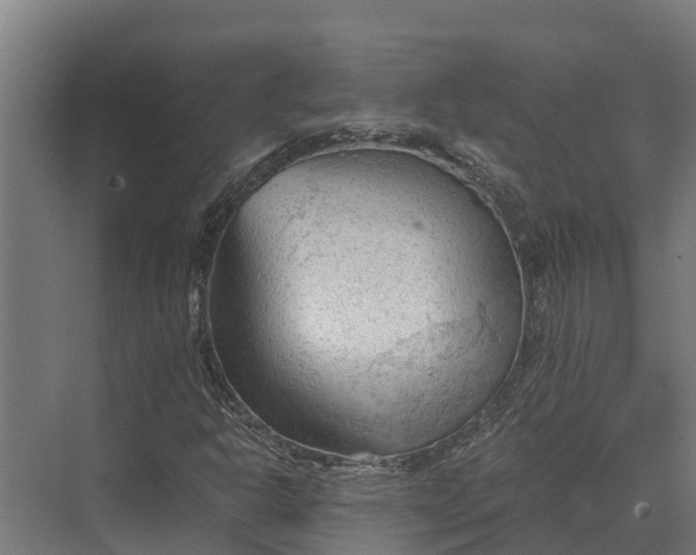 X0000069811302200606021455