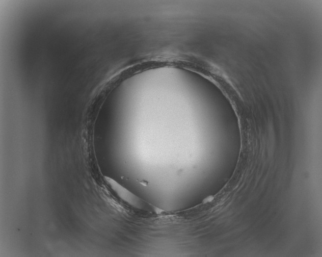 X0000069811304200606021455