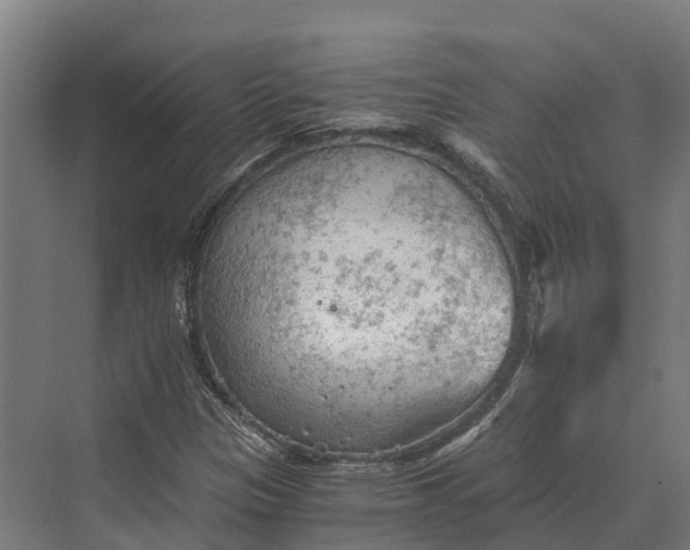 X0000069811305200606021455