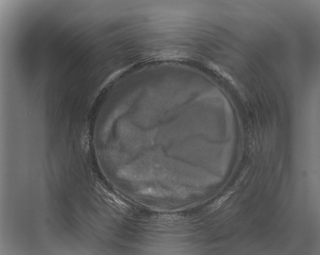 X0000069811306200606021455