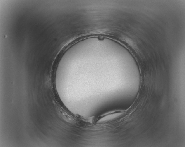 X0000069811308200606021455