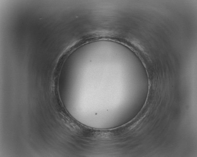 X0000069811309200606021455