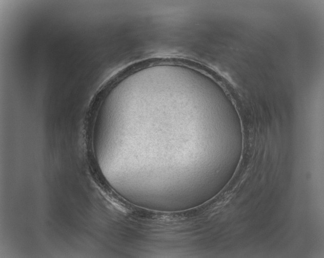 X0000069811311200606021455