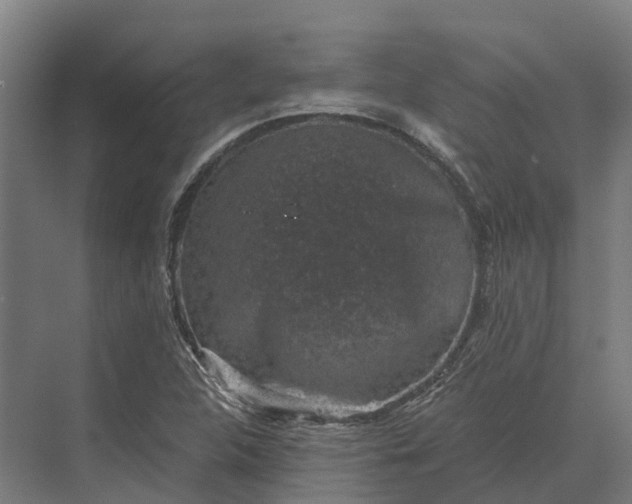 X0000069811312200606021455