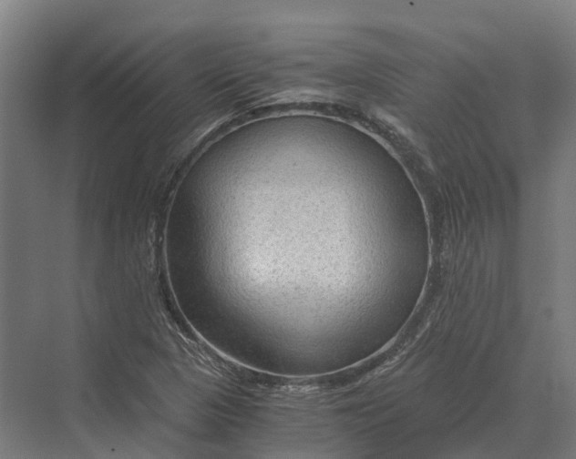 X0000069811313200606021455