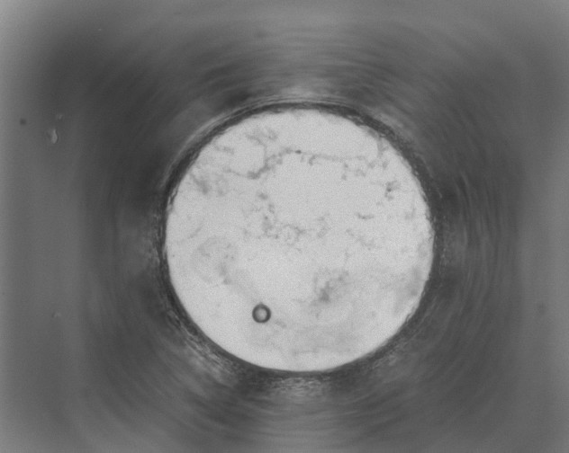 X0000069811314200606021455