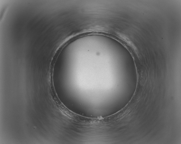 X0000069811316200606021455