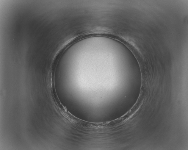 X0000069811317200606021455