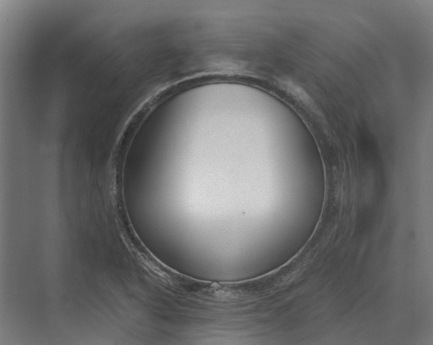 X0000069811318200606021455