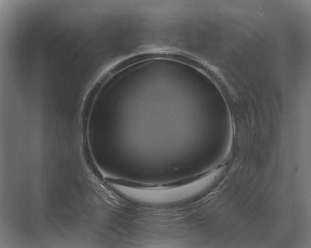 X0000069811319200606021455