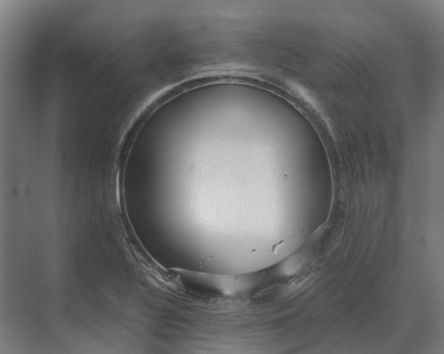 X0000069811320200606021455