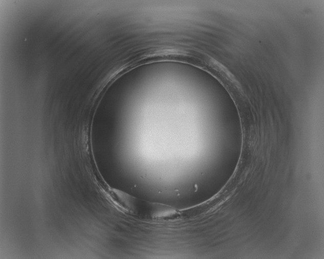 X0000069811321200606021455