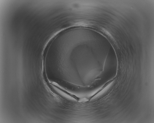 X0000069811323200606021455