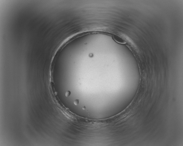 X0000069811324200606021455