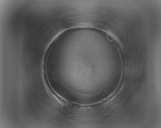 X0000069811325200606021455