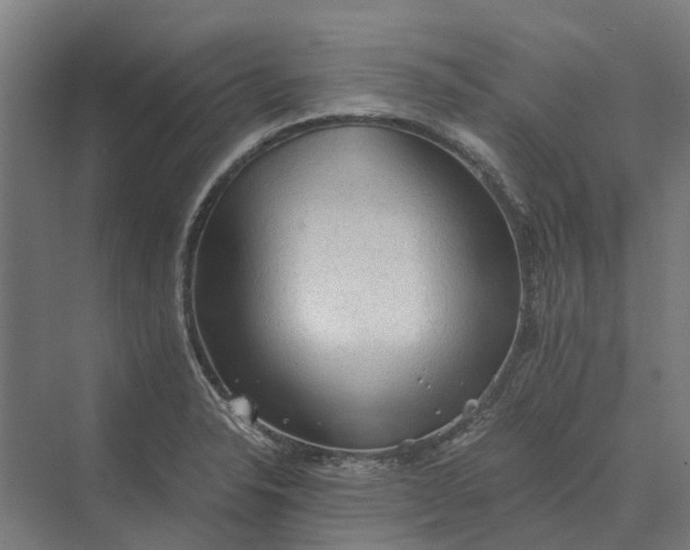 X0000069811326200606021455