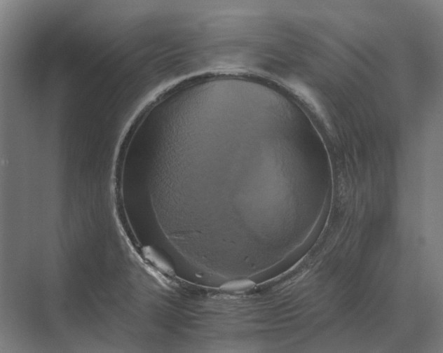 X0000069811327200606021455