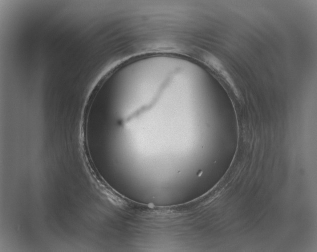 X0000069811328200606021455