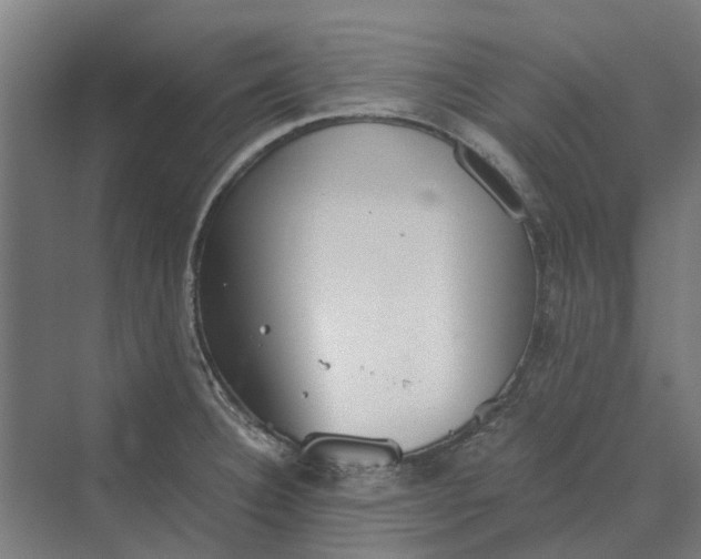 X0000069811332200606021455