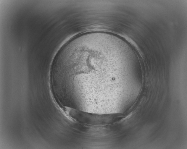 X0000069811333200606021455