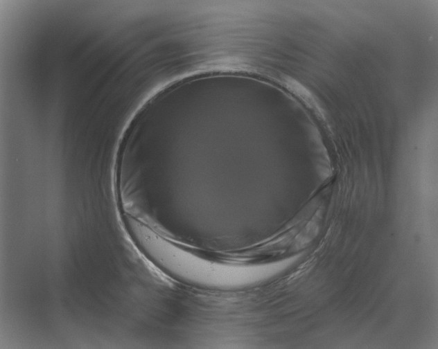 X0000069811334200606021455