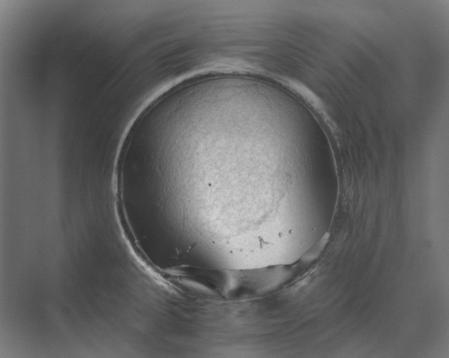 X0000069811335200606021455