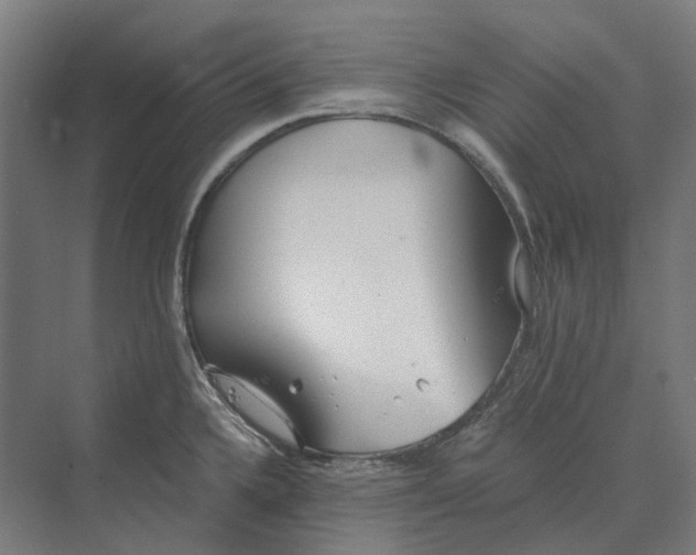 X0000069811336200606021455