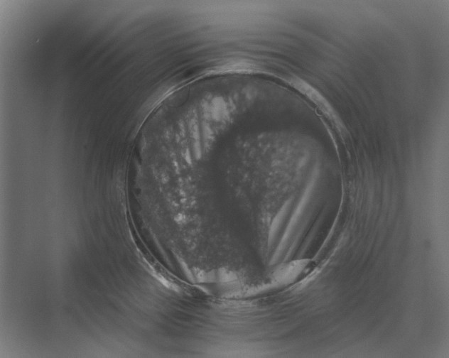 X0000069811337200606021455