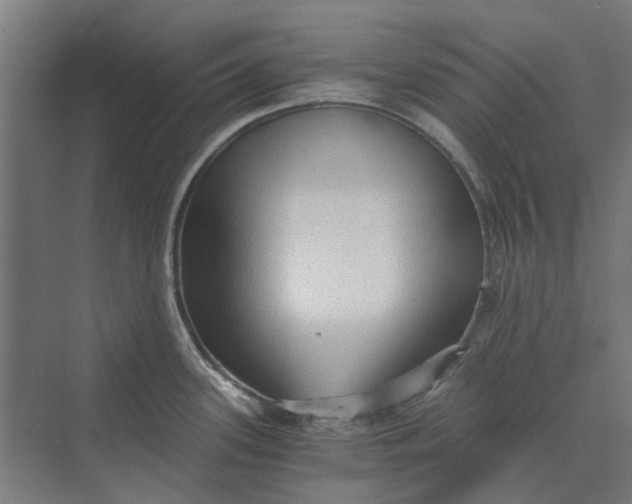 X0000069811339200606021455