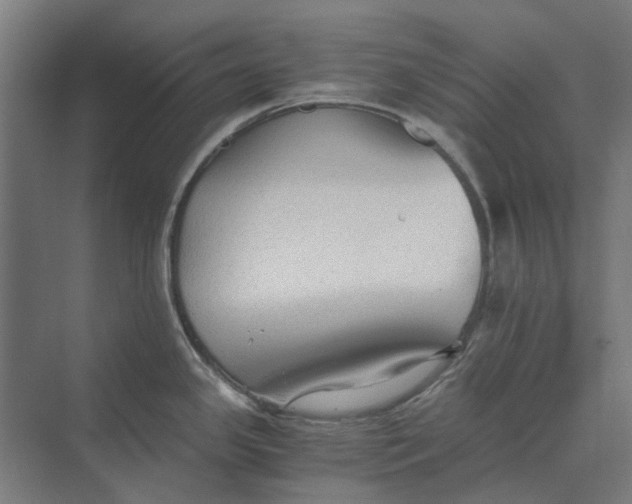 X0000069811341200606021455