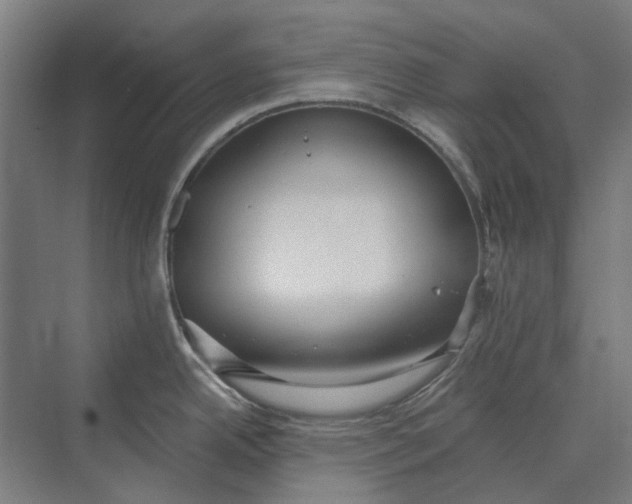 X0000069811342200606021455