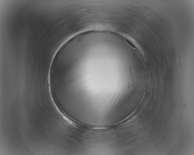 X0000069811343200606021455