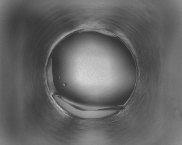 X0000069811344200606021455