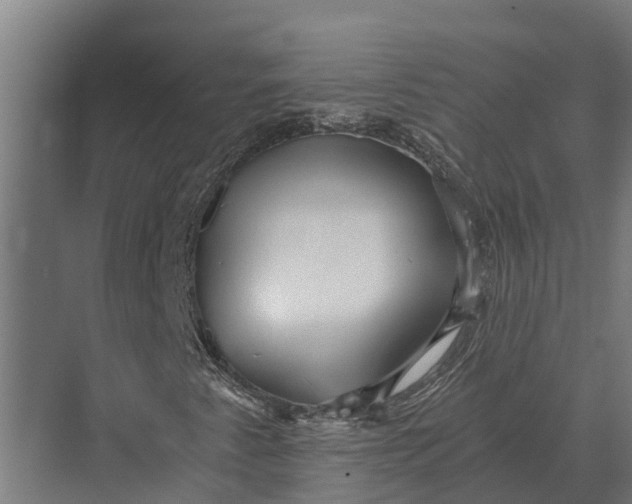 X0000069811345200606021454