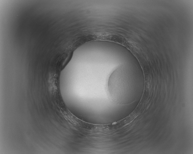 X0000069811346200606021454