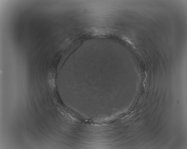 X0000069811348200606021454