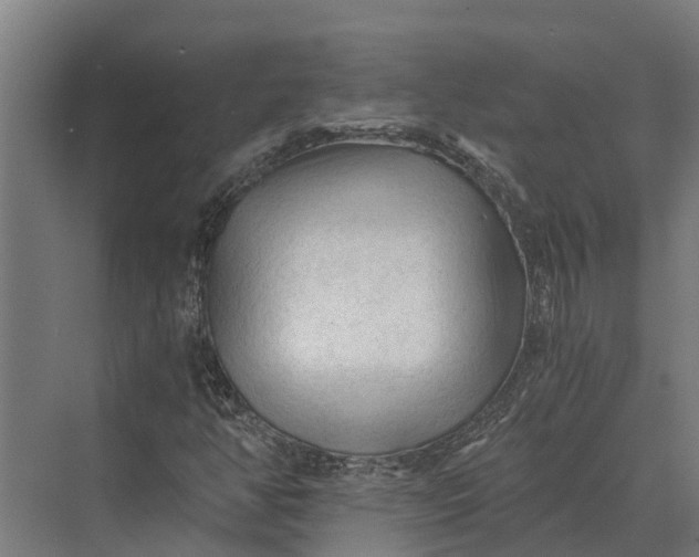 X0000069811350200606021454