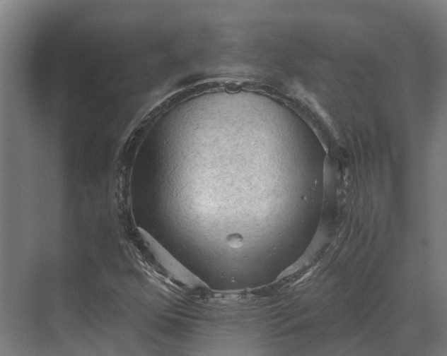 X0000069811352200606021454