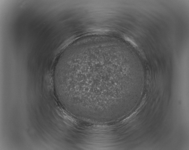 X0000069811354200606021454