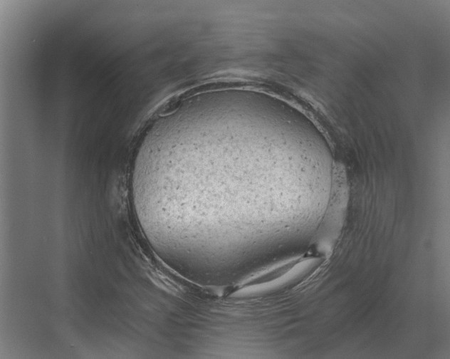 X0000069811355200606021454