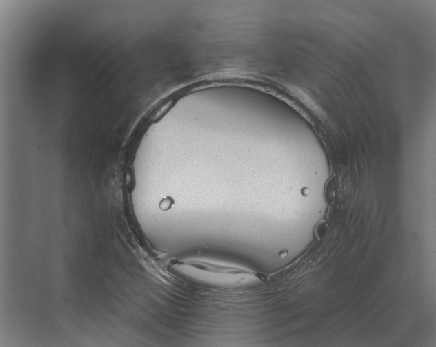 X0000069811356200606021454