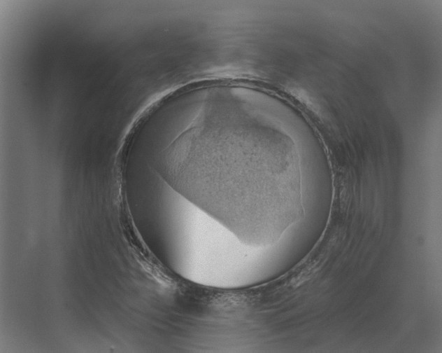 X0000069811358200606021454