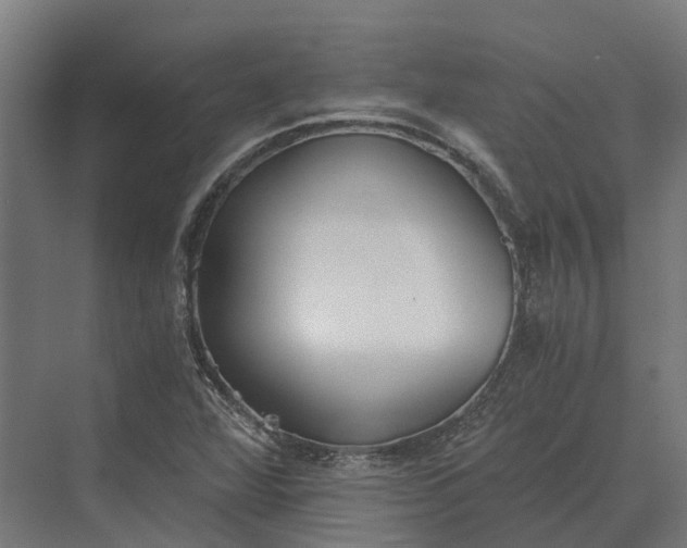 X0000069811360200606021454