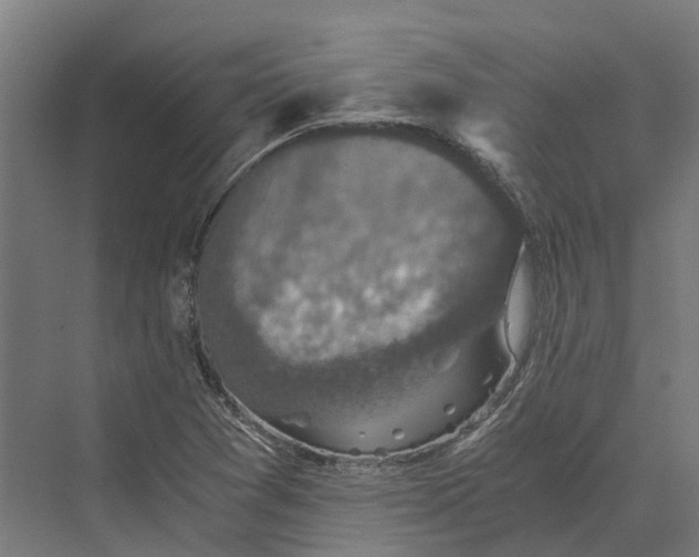 X0000069811361200606021454