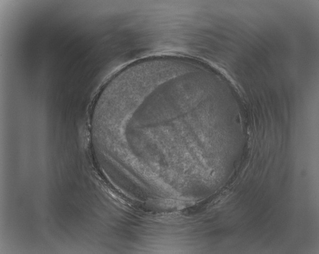 X0000069811363200606021454