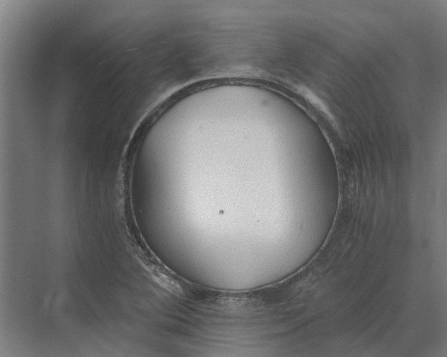 X0000069811364200606021454