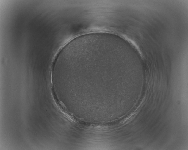 X0000069811365200606021454