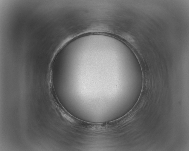 X0000069811366200606021454