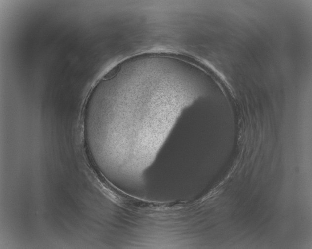 X0000069811367200606021454